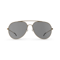Gold Rimmed Aviators