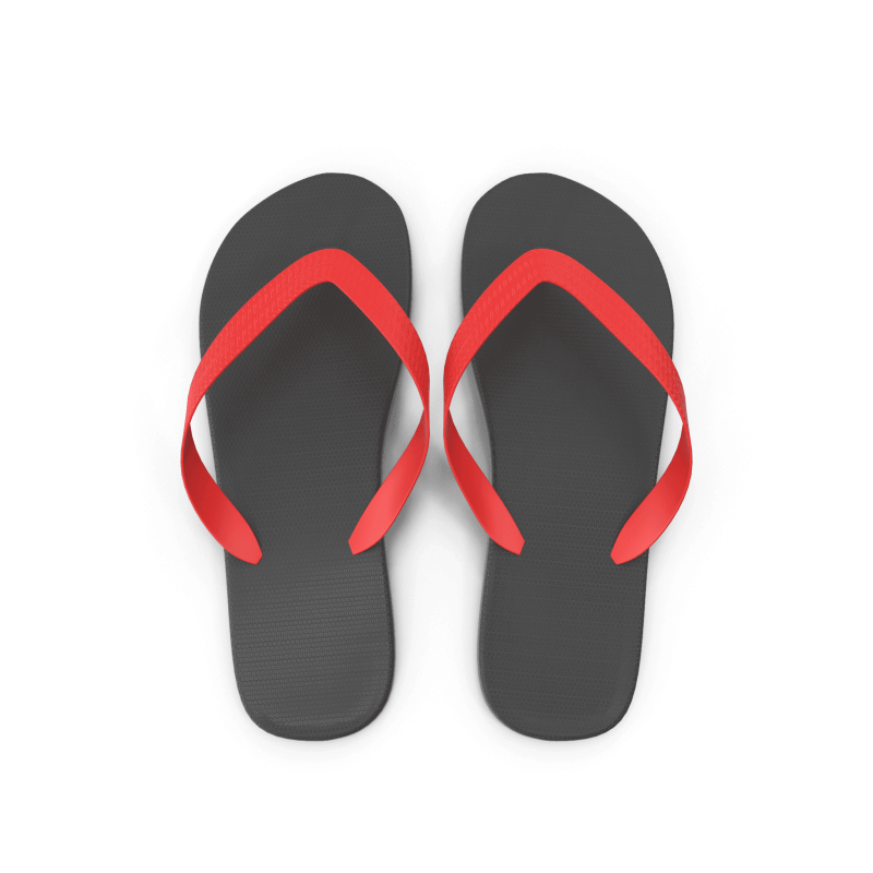 Flip Flops