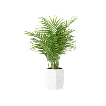 Plant Decor 01
