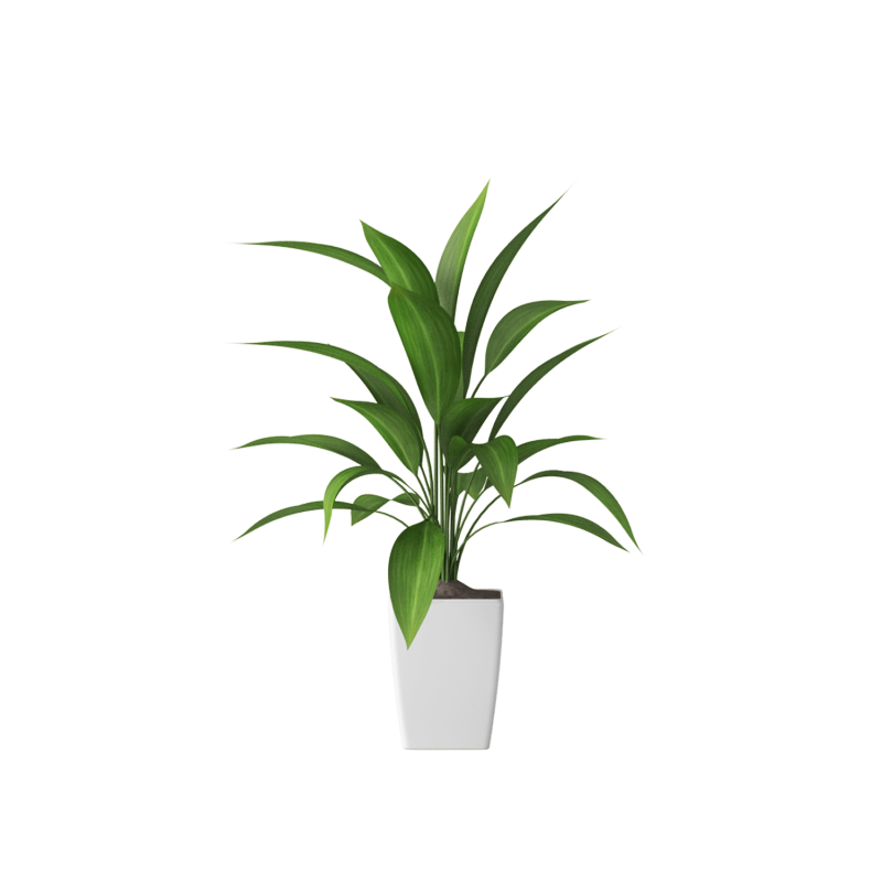 Plant Decor 01