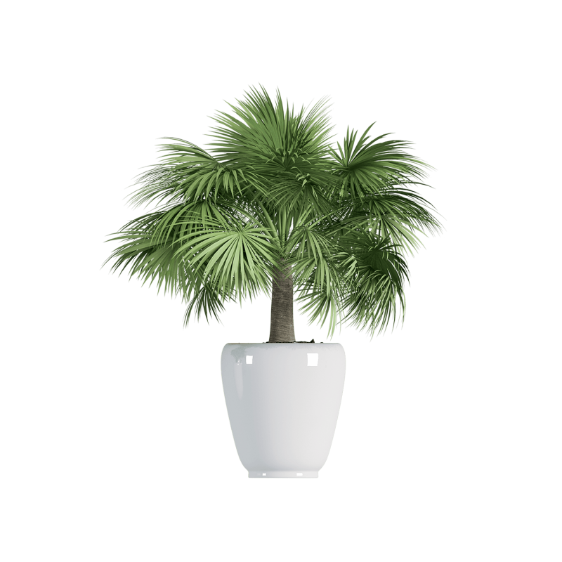 Plant Decor 03