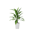Plant Decor 03