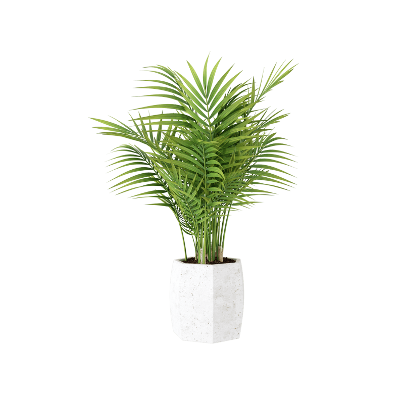 Plant Decor 05