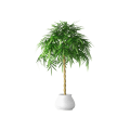 Plant Decor 07