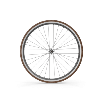 Bike Wheel