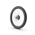 Rear Bike Wheel