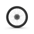 Rear Bike Wheel