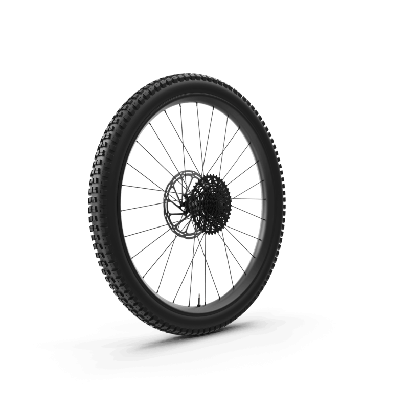 Rear Bike Wheel
