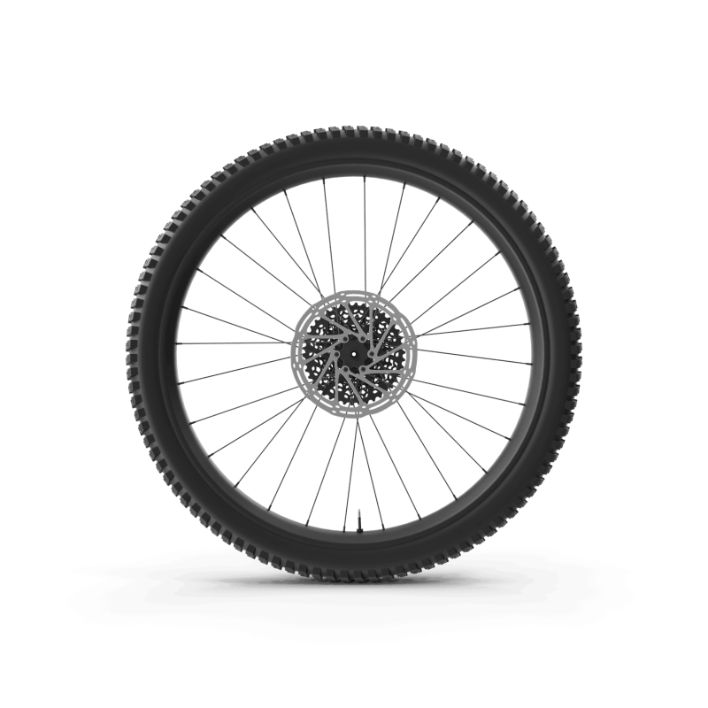 Rear Bike Wheel