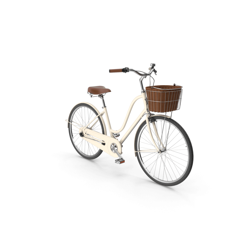 City Bike with Basket