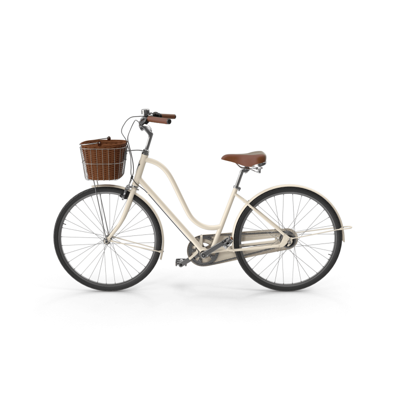 City Bike with Basket