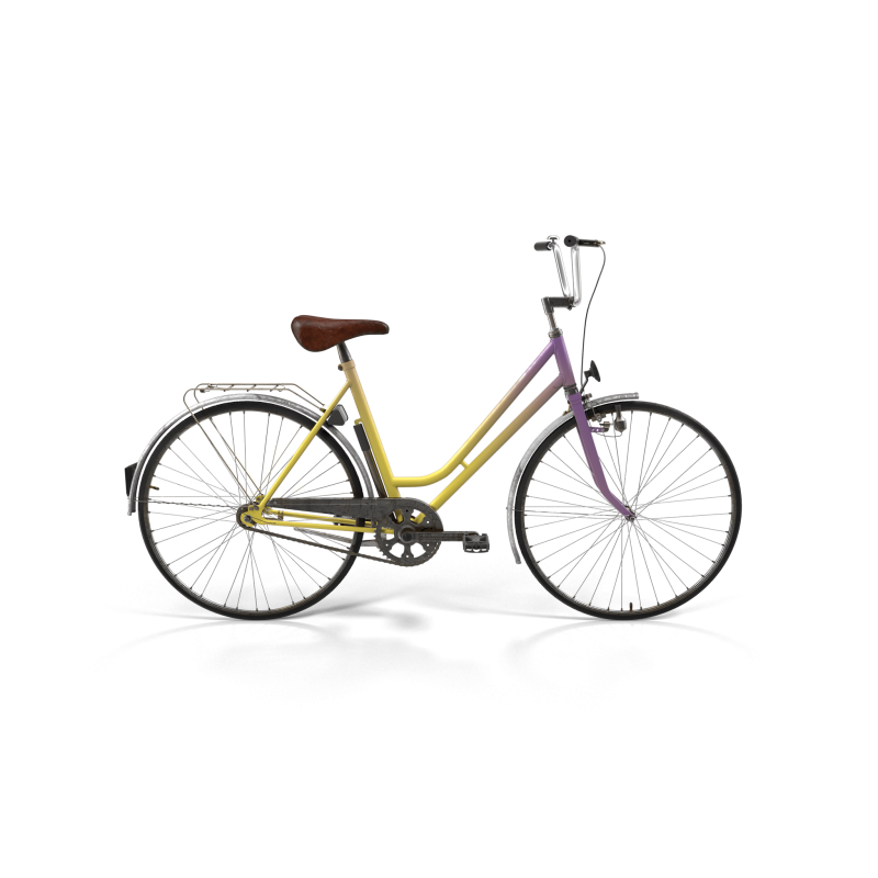 Rainbow Polyvalent Bike