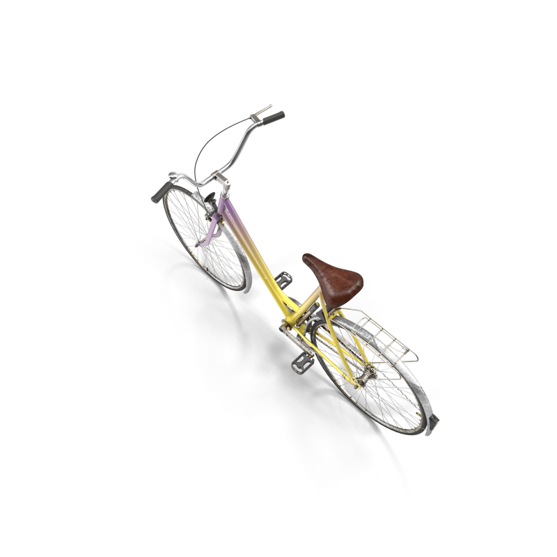 Rainbow Polyvalent Bike