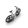Electric Carbon Bike