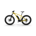 Electric Fat Bike