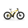 Electric Fat Bike