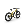 Electric Fat Bike