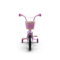 Girls Bike with Training Wheels