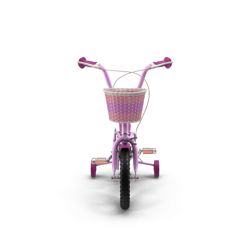Girls Bike with Training Wheels