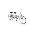 Green Tandem Bike