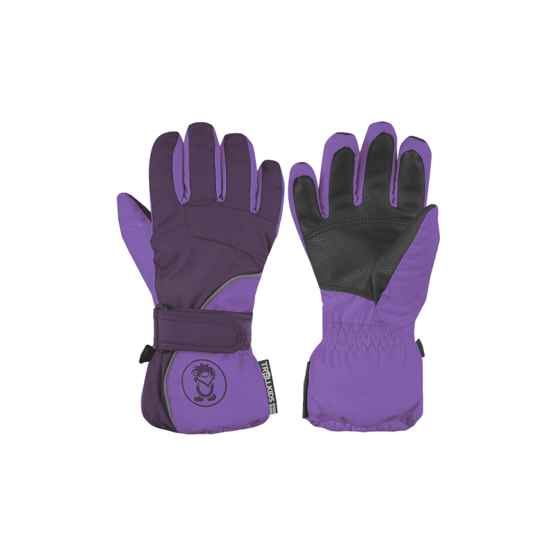 Ski Gloves 03