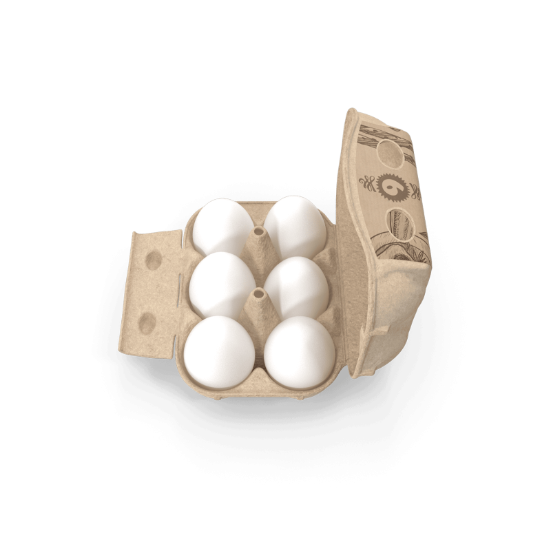 Chicken Eggs