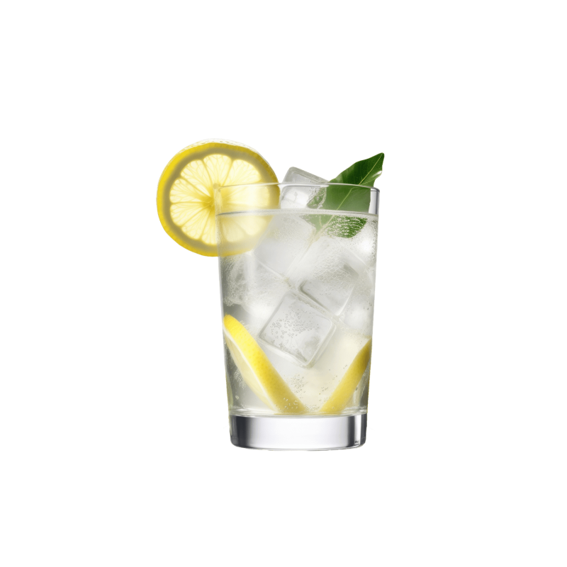 Gin & Tonic